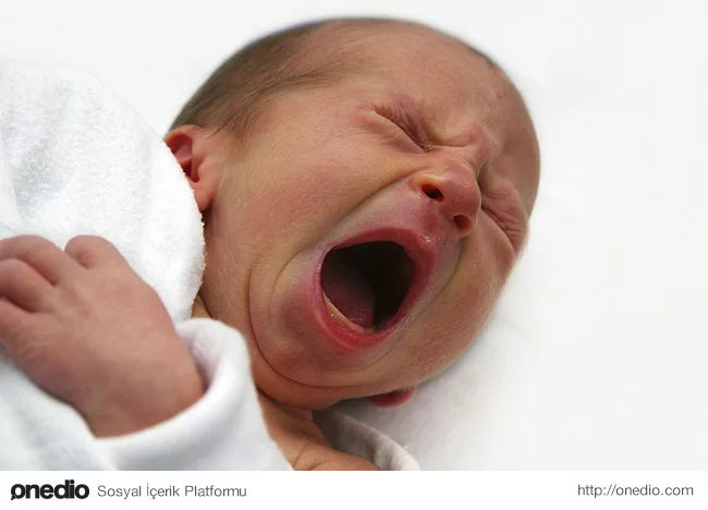 Doğduklarında bebeklerin ağızlarının içinde ve yanlarında dillerine ilaveten bir tat olma organları bulunur.