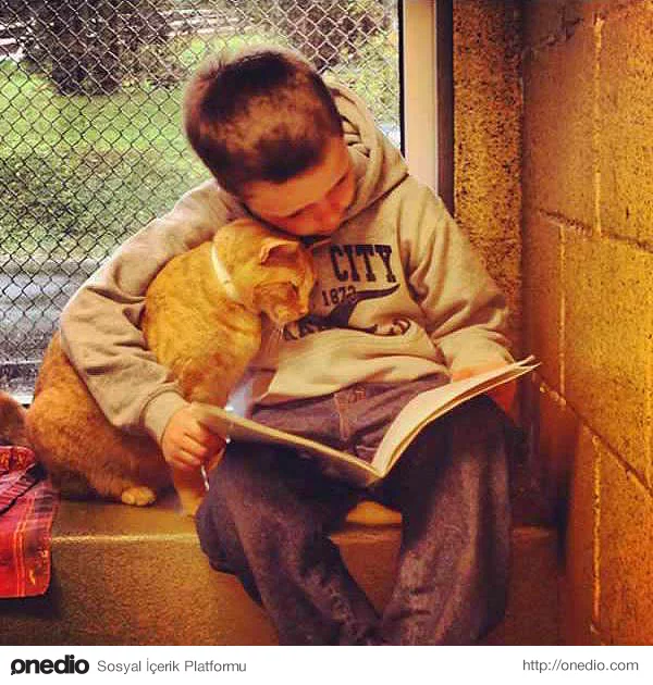 Barınaktaki kediye kitap okuyan bu çocuk.
